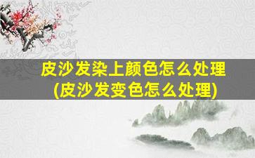 皮沙发染上颜色怎么处理(皮沙发变色怎么处理)
