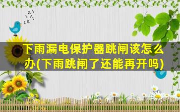 下雨漏电保护器跳闸该怎么办(下雨跳闸了还能再开吗)