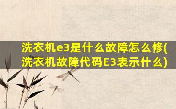 洗衣机e3是什么故障怎么修(洗衣机故障代码E3表示什么)