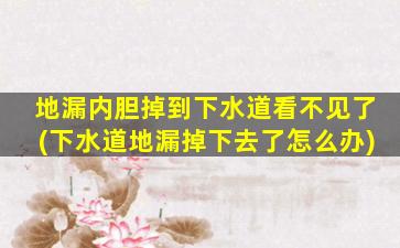 地漏内胆掉到下水道看不见了(下水道地漏掉下去了怎么办)