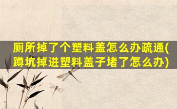 厕所掉了个塑料盖怎么办疏通(蹲坑掉进塑料盖子堵了怎么办)