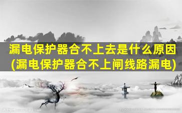 漏电保护器合不上去是什么原因(漏电保护器合不上闸线路漏电)