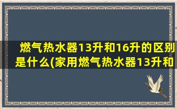 燃气热水器13升和16升的区别是什么(家用燃气热水器13升和16升哪个好)