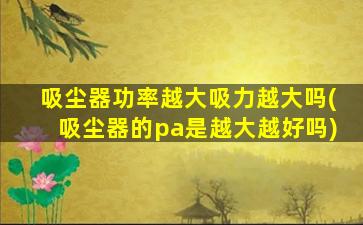 吸尘器功率越大吸力越大吗(吸尘器的pa是越大越好吗)