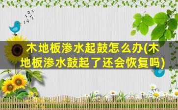 木地板渗水起鼓怎么办(木地板渗水鼓起了还会恢复吗)