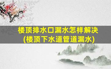 楼顶排水口漏水怎样解决(楼顶下水道管道漏水)