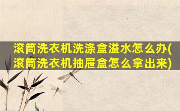 滚筒洗衣机洗涤盒溢水怎么办(滚筒洗衣机抽屉盒怎么拿出来)