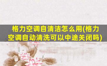 格力空调自清洁怎么用(格力空调自动清洗可以中途关闭吗)