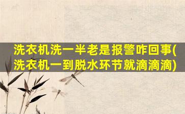 洗衣机洗一半老是报警咋回事(洗衣机一到脱水环节就滴滴滴)