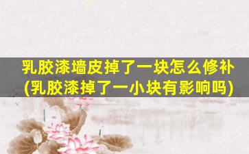 乳胶漆墙皮掉了一块怎么修补(乳胶漆掉了一小块有影响吗)