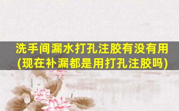 洗手间漏水打孔注胶有没有用(现在补漏都是用打孔注胶吗)