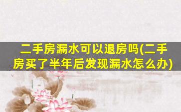 二手房漏水可以退房吗(二手房买了半年后发现漏水怎么办)