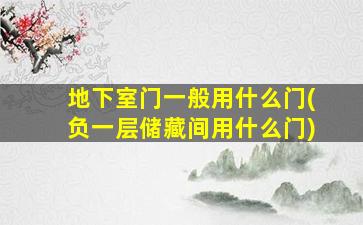 地下室门一般用什么门(负一层储藏间用什么门)