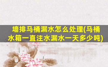 墙排马桶漏水怎么处理(马桶水箱一直注水漏水一天多少吨)