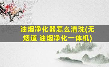 油烟净化器怎么清洗(无烟道 油烟净化一体机)