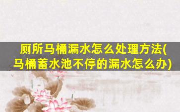 厕所马桶漏水怎么处理方法(马桶蓄水池不停的漏水怎么办)