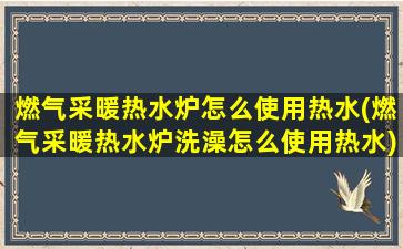燃气采暖热水炉怎么使用热水(燃气采暖热水炉洗澡怎么使用热水)