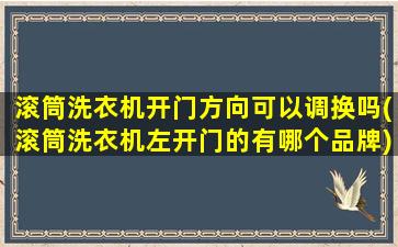 滚筒洗衣机开门方向可以调换吗(滚筒洗衣机左开门的有哪个品牌)