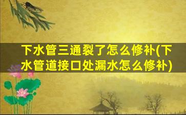 下水管三通裂了怎么修补(下水管道接口处漏水怎么修补)
