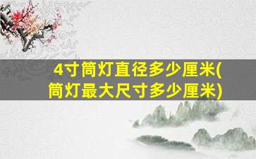 4寸筒灯直径多少厘米(筒灯最大尺寸多少厘米)