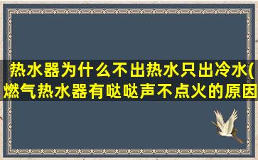 热水器为什么不出热水只出冷水(燃气热水器有哒哒声不点火的原因)