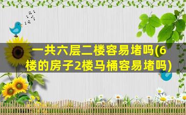 一共六层二楼容易堵吗(6楼的房子2楼马桶容易堵吗)