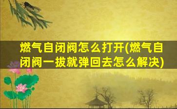 燃气自闭阀怎么打开(燃气自闭阀一拔就弹回去怎么解决)