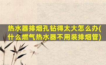 热水器排烟孔钻得太大怎么办(什么燃气热水器不用装排烟管)