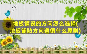 地板铺设的方向怎么选择(地板铺贴方向遵循什么原则)