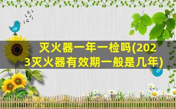 灭火器一年一检吗(2023灭火器有效期一般是几年)
