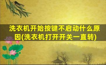 洗衣机开始按键不启动什么原因(洗衣机打开开关一直转)