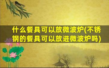 什么餐具可以放微波炉(不锈钢的餐具可以放进微波炉吗)