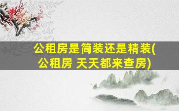 公租房是简装还是精装(公租房 天天都来查房)