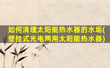 如何清理太阳能热水器的水垢(壁挂式光电两用太阳能热水器)
