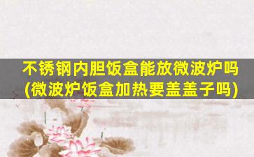 不锈钢内胆饭盒能放微波炉吗(微波炉饭盒加热要盖盖子吗)