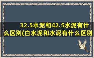 32.5水泥和42.5水泥有什么区别(白水泥和水泥有什么区别)