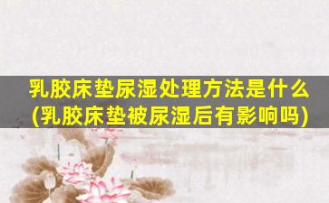 乳胶床垫尿湿处理方法是什么(乳胶床垫被尿湿后有影响吗)