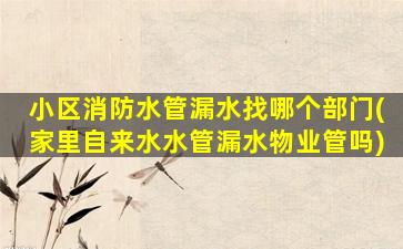 小区消防水管漏水找哪个部门(家里自来水水管漏水物业管吗)