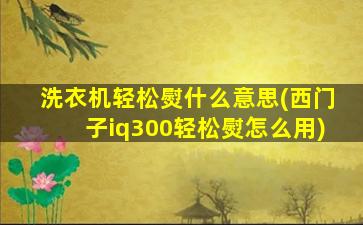洗衣机轻松熨什么意思(西门子iq300轻松熨怎么用)