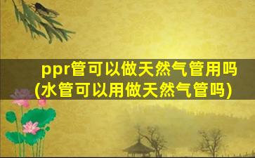 ppr管可以做天然气管用吗(水管可以用做天然气管吗)