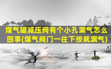 煤气罐减压阀有个小孔漏气怎么回事(煤气阀门一往下按就漏气)