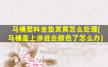 马桶塑料坐垫发黄怎么处理(马桶盖上渗进去颜色了怎么办)