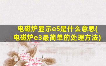 电磁炉显示e5是什么意思(电磁炉e3最简单的处理方法)
