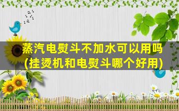 蒸汽电熨斗不加水可以用吗(挂烫机和电熨斗哪个好用)