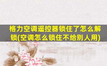格力空调遥控器锁住了怎么解锁(空调怎么锁住不给别人用)