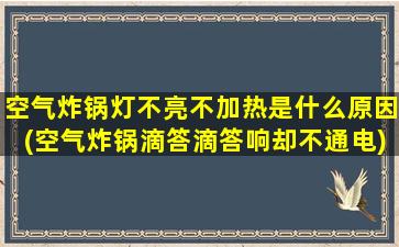 空气炸锅灯不亮不加热是什么原因(空气炸锅滴答滴答响却不通电)