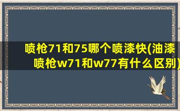 喷枪71和75哪个喷漆快(油漆喷枪w71和w77有什么区别)