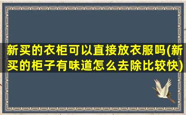 新买的衣柜可以直接放衣服吗(新买的柜子有味道怎么去除比较快)