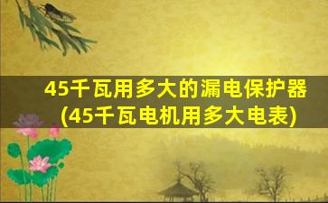 45千瓦用多大的漏电保护器(45千瓦电机用多大电表)