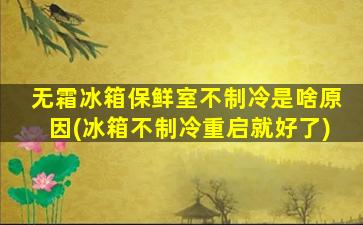 无霜冰箱保鲜室不制冷是啥原因(冰箱不制冷重启就好了)